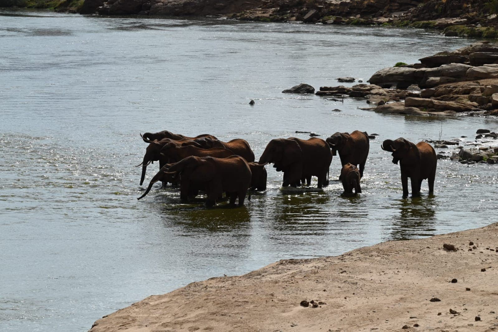 A herd of elephants crossing a river in Tsavo East National Park